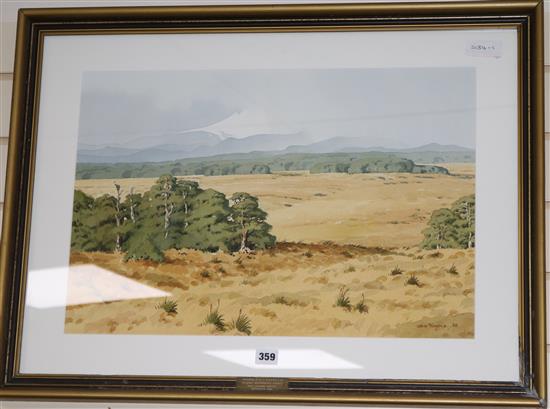 John Rundle, watercolour, Southerly National Park, New Zealand, signed and dated 85, 38 x 56cm